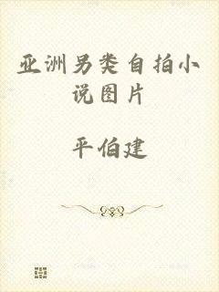 亚洲另类自拍小说图片