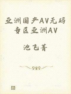 亚洲国产AV无码专区亚洲AV