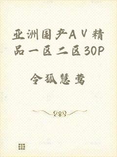 亚洲国产AⅤ精品一区二区30P