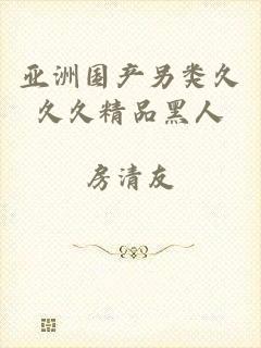 亚洲国产另类久久久精品黑人