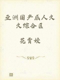 亚洲国产成人久久综合区
