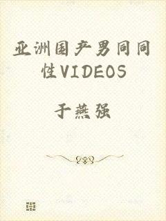 亚洲国产男同同性VIDEOS