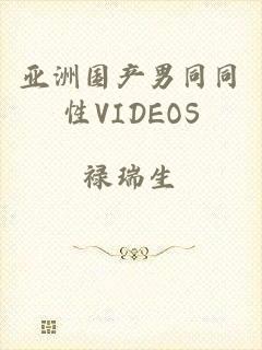 亚洲国产男同同性VIDEOS