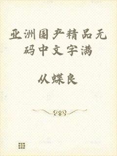 亚洲国产精品无码中文字满
