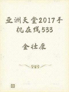 亚洲天堂2017手机在线533