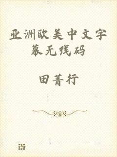 亚洲欧美中文字幕无线码