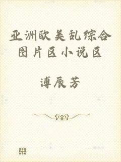 亚洲欧美乱综合图片区小说区