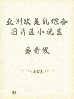 亚洲欧美乱综合图片区小说区