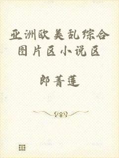 亚洲欧美乱综合图片区小说区