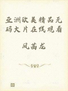 亚洲欧美精品无码大片在线观看