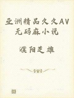 亚洲精品久久AV无码麻小说