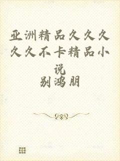 亚洲精品久久久久久不卡精品小说
