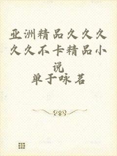 亚洲精品久久久久久不卡精品小说