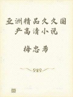 亚洲精品久久国产高清小说
