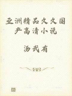 亚洲精品久久国产高清小说