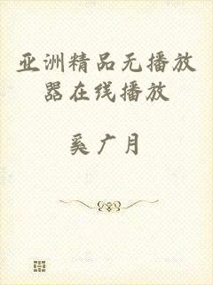 亚洲精品无播放器在线播放