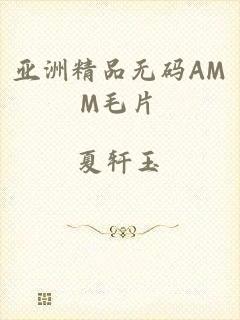 亚洲精品无码AMM毛片