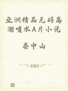 亚洲精品无码高潮喷水A片小说