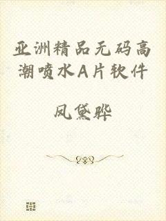 亚洲精品无码高潮喷水A片软件