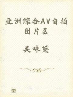 亚洲综合AV自拍图片区