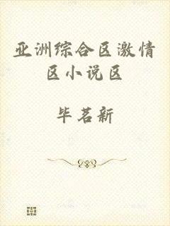 亚洲综合区激情区小说区