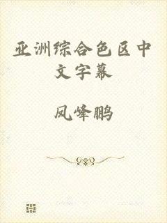 亚洲综合色区中文字幕