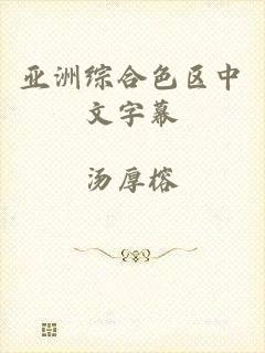 亚洲综合色区中文字幕