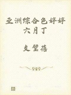 亚洲综合色婷婷六月丁