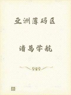 亚洲薄码区