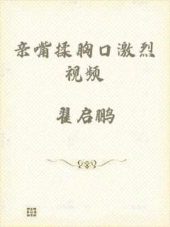 亲嘴揉胸口激烈视频