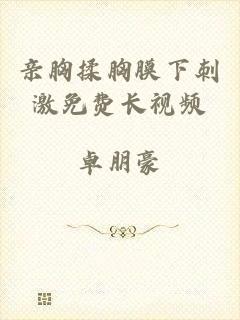 亲胸揉胸膜下刺激免费长视频