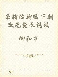 亲胸揉胸膜下刺激免费长视频