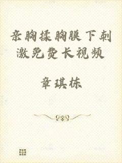 亲胸揉胸膜下刺激免费长视频
