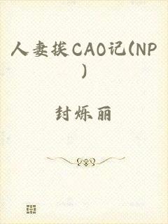 人妻挨CAO记(NP)