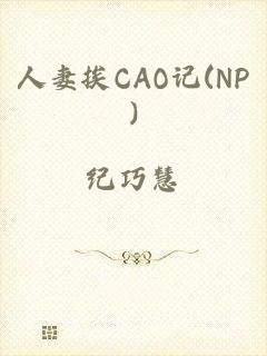人妻挨CAO记(NP)