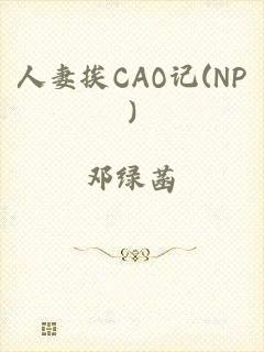 人妻挨CAO记(NP)