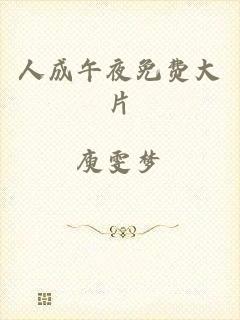 人成午夜免费大片