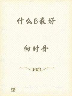 什么B最好