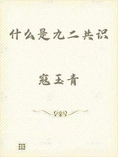 什么是九二共识