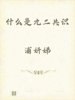 什么是九二共识