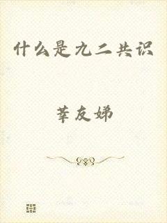 什么是九二共识