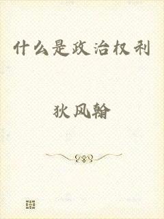 什么是政治权利