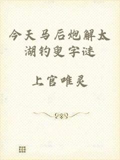 今天马后炮解太湖钓叟字谜