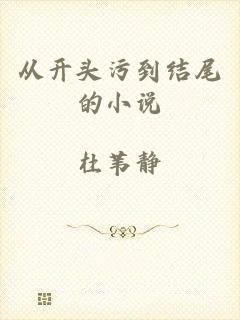 从开头污到结尾的小说