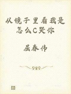 从镜子里看我是怎么C哭你