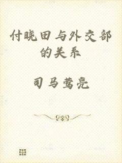 付晓田与外交部的关系