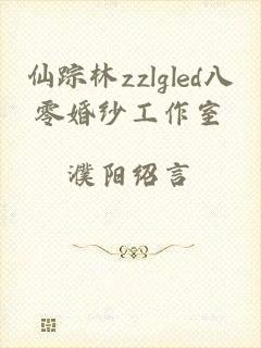 仙踪林zzlgled八零婚纱工作室