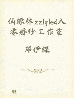 仙踪林zzlgled八零婚纱工作室