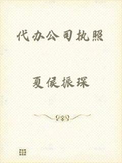 代办公司执照