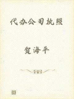 代办公司执照